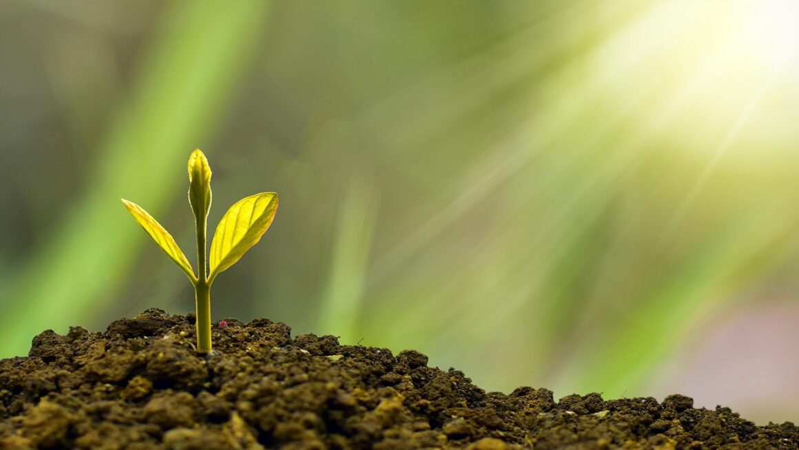 Startup Graveyard: Lessons Learned From Failure