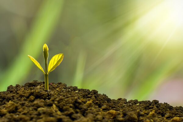 Startup Graveyard: Lessons Learned From Failure