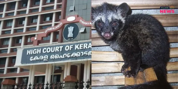 ഹൈക്കോടതിയിൽ മൂത്രമൊഴിച്ച് പ്രവർത്തനം തടസപെടുത്തിയ മരപ്പട്ടിയെ പിടികൂടി.