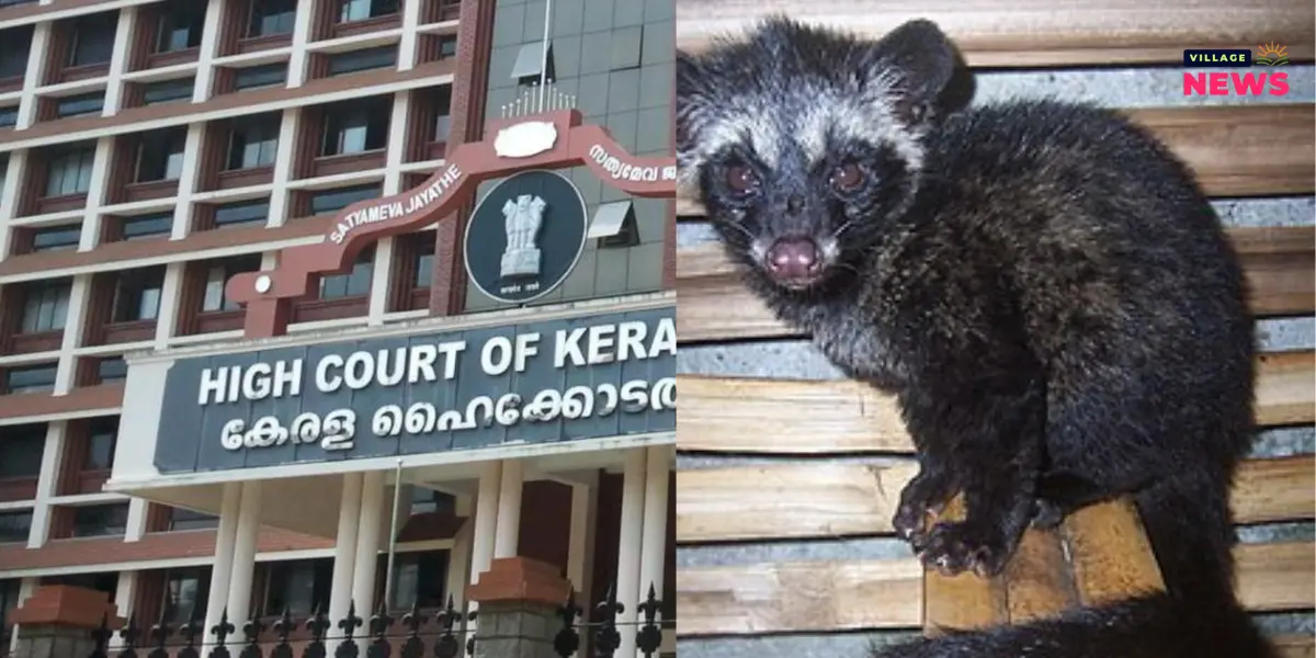 ഹൈക്കോടതിയിൽ മൂത്രമൊഴിച്ച് പ്രവർത്തനം തടസപെടുത്തിയ മരപ്പട്ടിയെ പിടികൂടി.