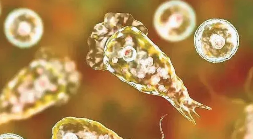 അമീബിക് മസ്തിഷ്ക ജ്വരം വിദ്യാർഥിക്ക് രോഗം നീന്തൽക്കുളം അടച്ചുപൂട്ടി