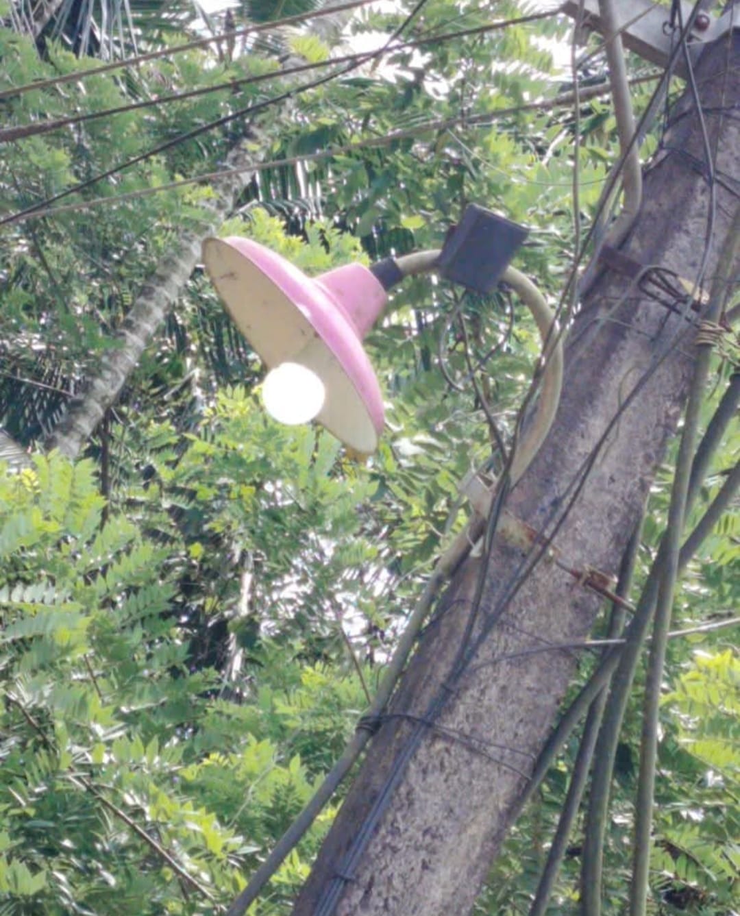 പകലും രാത്രിയും ഇമ ചിമ്മാതെ!