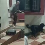തെരുവുനായ ശല്യത്തിനെതിരെ നാടകം കളിക്കുന്നതിനിടെ നടന് ഒറിജിനൽ തെരുവ് നായയുടെ ‘കടി’.