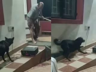 തെരുവുനായ ശല്യത്തിനെതിരെ നാടകം കളിക്കുന്നതിനിടെ നടന് ഒറിജിനൽ തെരുവ് നായയുടെ ‘കടി’.