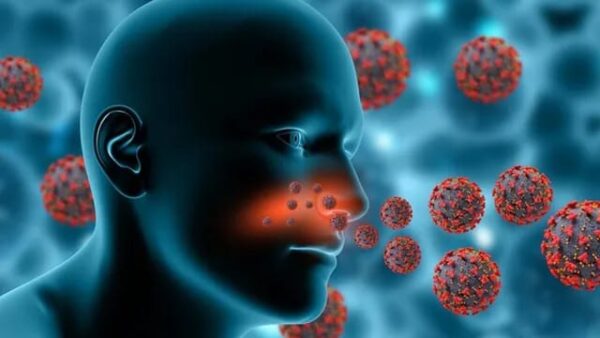 അമീബിക് മസ്തിഷ്ക ജ്വരം ബാധിച്ച് ചിറയിൻകീഴ് സ്വദേശിനി മരിച്ചു.