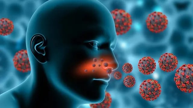 അമീബിക് മസ്തിഷ്ക ജ്വരം ബാധിച്ച് ചിറയിൻകീഴ് സ്വദേശിനി മരിച്ചു.