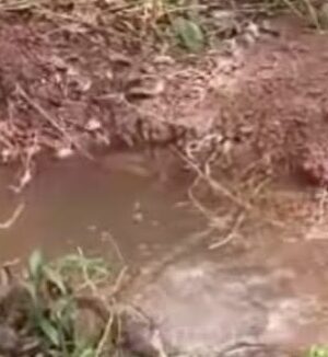 മുളയറച്ചാലിൽ അൽഭുത ഉറവ