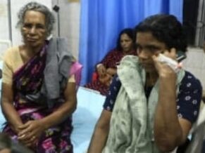 തൊഴിലുറപ്പ് തൊഴിലാളികൾക്ക് കടന്നൽ കുത്തേറ്റു