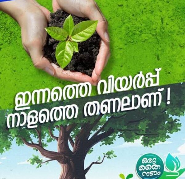 ഒരു കോടി തൈകൾ നട്ടു