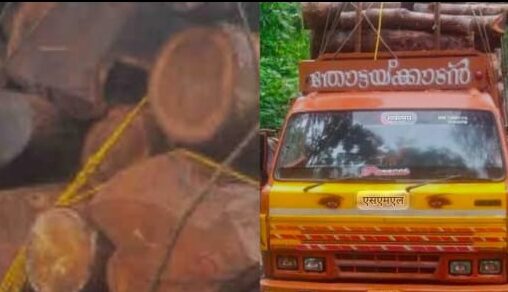 തേക്ക്കടത്തി വനംവകുപ്പ് പിടിച്ചു