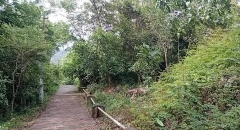 കൊടിതൂക്കിമലയിലേക്കുള്ള റോഡ് പൊട്ടിപ്പൊളിഞ്ഞു