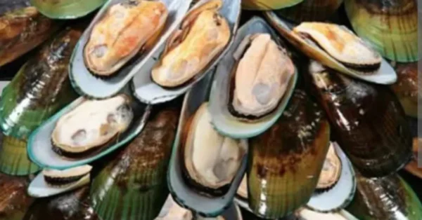 യുവാവിനെ കടലിൽ മരിച്ച നിലയിൽ കണ്ടെത്തി