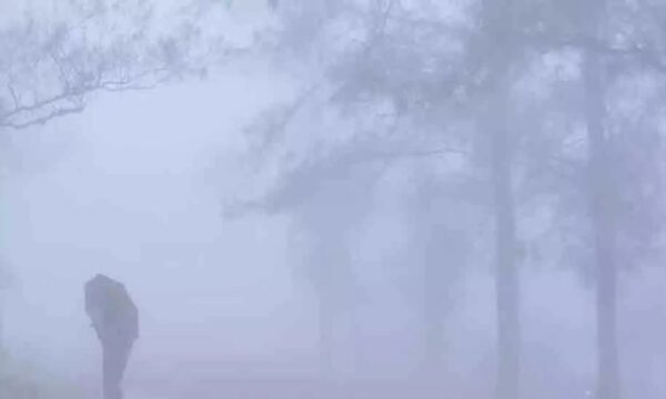 മഞ്ഞിലും തണുപ്പിലും കുളിർന്ന് കേരളം