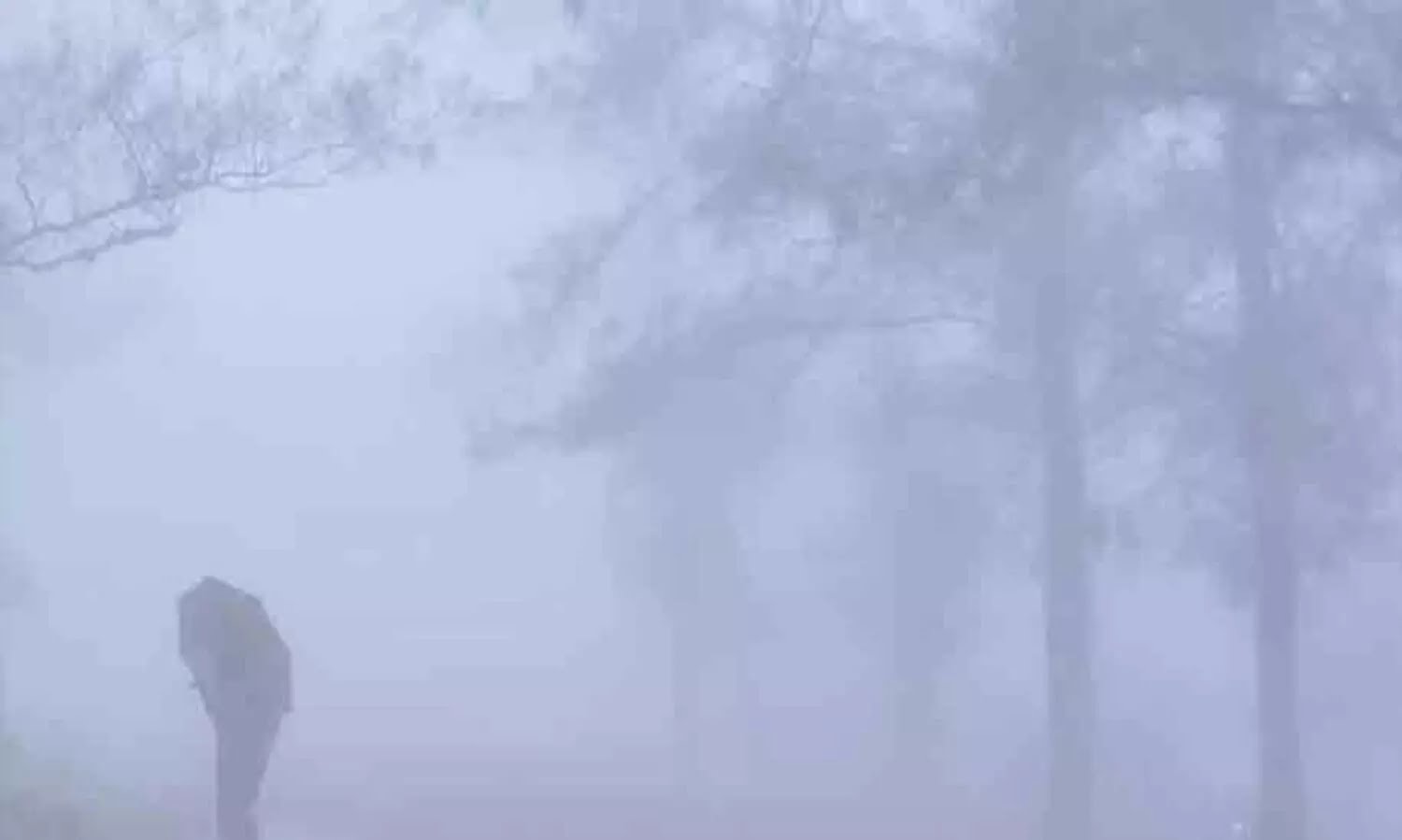 മഞ്ഞിലും തണുപ്പിലും കുളിർന്ന് കേരളം