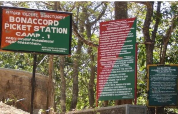 കടുവയെ തേടി പോയവരെ കണ്ടെത്തി