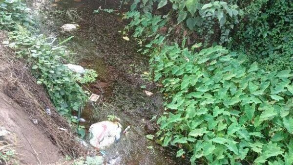 റോഡിലെ കനാലിൽ മാലിന്യം തള്ളൽ രൂക്ഷം