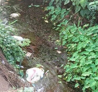 റോഡിലെ കനാലിൽ മാലിന്യം തള്ളൽ രൂക്ഷം