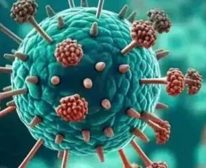 പനി ബാധിതരുടെ എണ്ണം പെരുകുന്നു