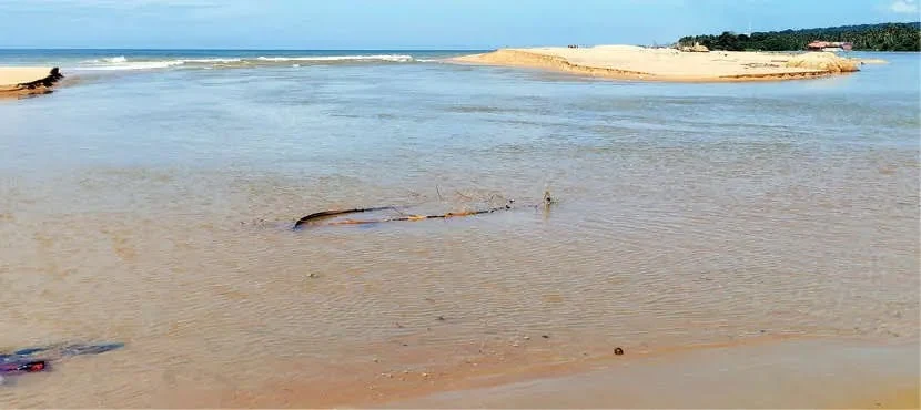 ചതിക്കുഴികൾ ഒളിപ്പിച്ച്‌