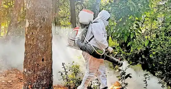 ചികിത്സയിലിരിക്കെ മരിച്ചയാൾക്ക് ചെള്ളുപനി