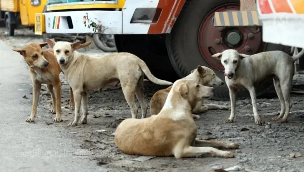 സംസ്ഥാനങ്ങൾ കനത്ത നഷ്ടപരിഹാരം നൽകേണ്ടിവരും