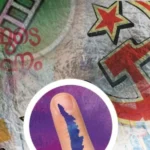 ശക്തമായ വേലിയേറ്റത്തിൽ വമ്പൻ മരങ്ങൾ വീഴും”; കെ. സുധാകരന്റെ നിലപാടിനെ പിന്തുണച്ച് രാജ്‌മോഹൻ ഉണ്ണിത്താൻ