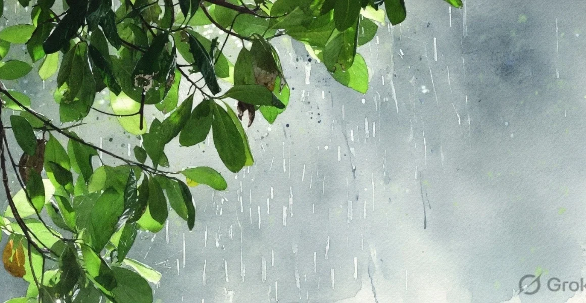 കനത്ത ചൂടിന് ആശ്വാസമായി വടക്കൻ കേരളത്തിൽ തകർത്തു പെയ്ത വേനൽമഴ