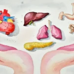 കേരളത്തിൽ വീണ്ടും വിസ്മയമായി അവയവദാനം; കൃഷ്ണലാൽ പോയത് 5 പേരെ ചേർത്തുപിടിച്ച്…