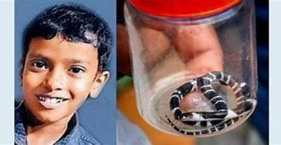 പത്തുവയസ്സുകാരൻ അനോഷിന്റെ ആരോഗ്യനിലയിൽ മാറ്റമോ? വിദഗ്ധ ഡോക്ടർമാരുടെ നിരീക്ഷണത്തിൽ; മെഡിക്കൽ റിപ്പോർട്ട് പുറത്ത്…