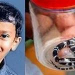 പത്തുവയസ്സുകാരൻ അനോഷിന്റെ ആരോഗ്യനിലയിൽ മാറ്റമോ? വിദഗ്ധ ഡോക്ടർമാരുടെ നിരീക്ഷണത്തിൽ; മെഡിക്കൽ റിപ്പോർട്ട് പുറത്ത്…