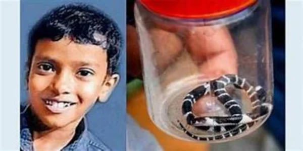 പത്തുവയസ്സുകാരൻ അനോഷിന്റെ ആരോഗ്യനിലയിൽ മാറ്റമോ? വിദഗ്ധ ഡോക്ടർമാരുടെ നിരീക്ഷണത്തിൽ; മെഡിക്കൽ റിപ്പോർട്ട് പുറത്ത്…