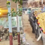 അരയൻകാവിൽ ഉത്സവത്തിനിടെ പരിഭ്രാന്തി; ഇടഞ്ഞോടി ആന, തലനാരിഴയ്ക്ക് ഒഴിവായത് വൻ ദുരന്തം